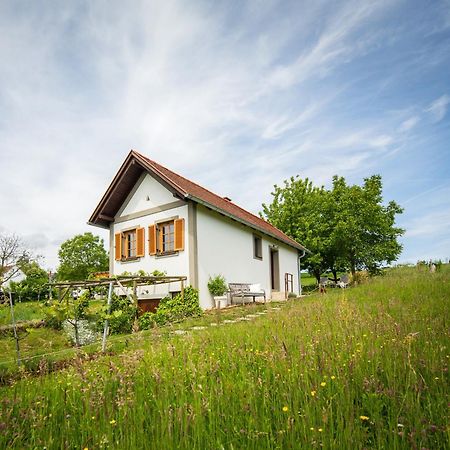 Weinlofts Weinloft I Villa Edlitz im Burgenland Dış mekan fotoğraf