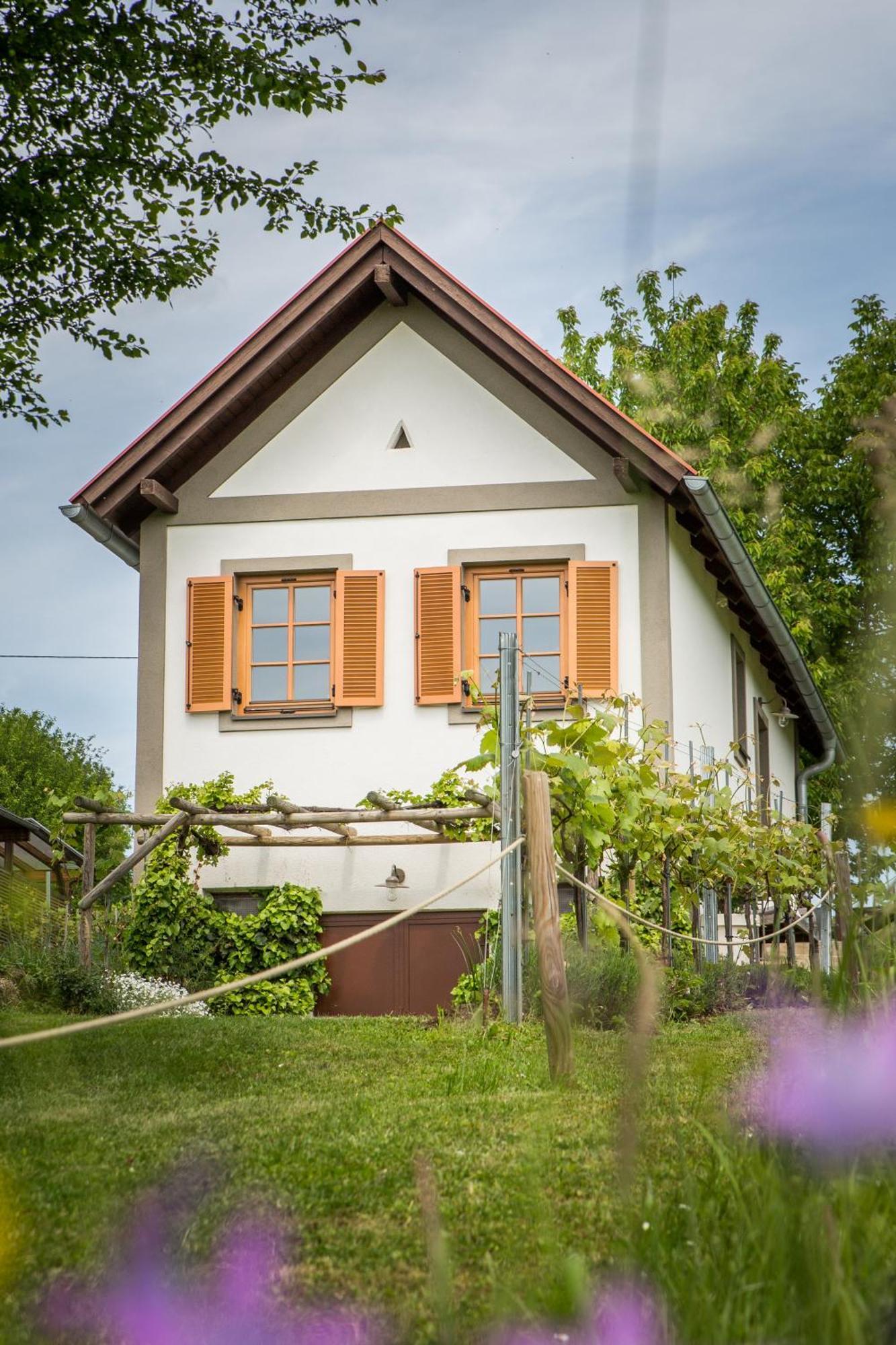Weinlofts Weinloft I Villa Edlitz im Burgenland Dış mekan fotoğraf