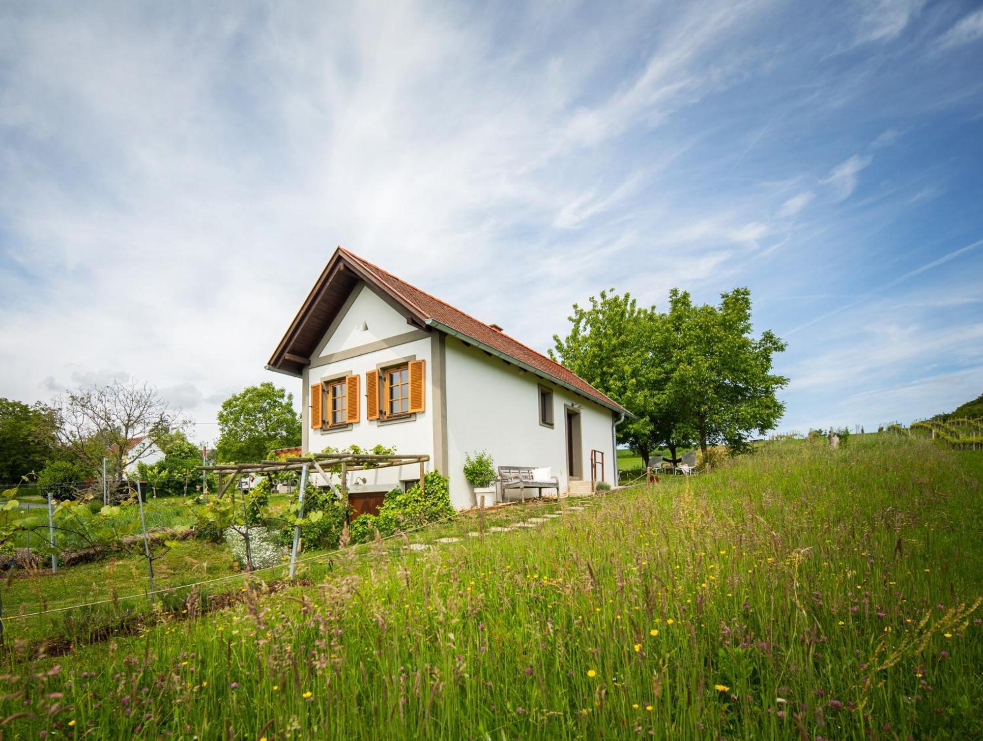 Weinlofts Weinloft I Villa Edlitz im Burgenland Dış mekan fotoğraf