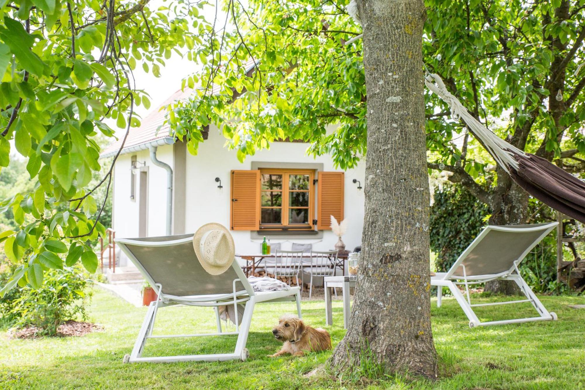 Weinlofts Weinloft I Villa Edlitz im Burgenland Dış mekan fotoğraf
