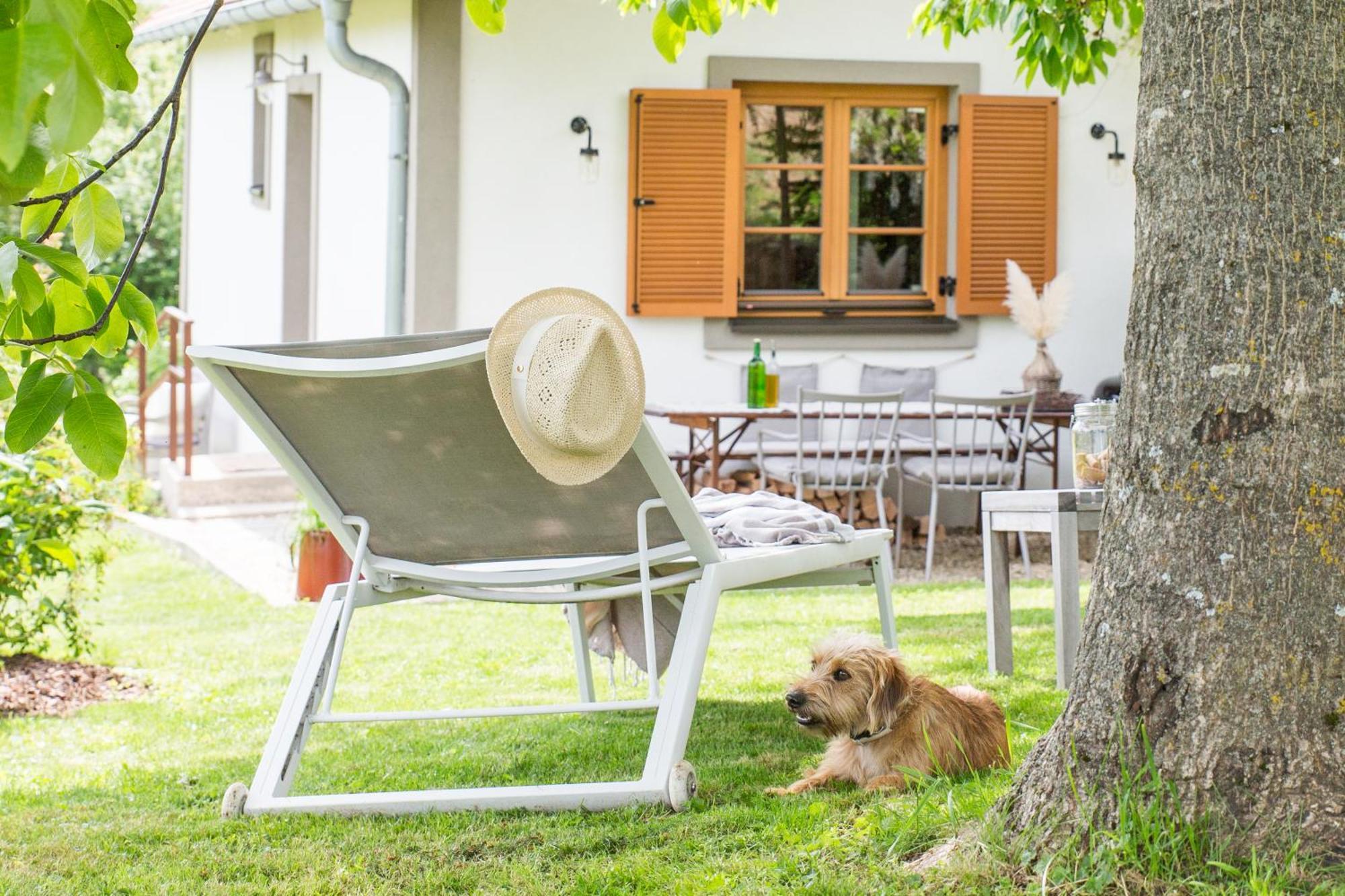 Weinlofts Weinloft I Villa Edlitz im Burgenland Dış mekan fotoğraf