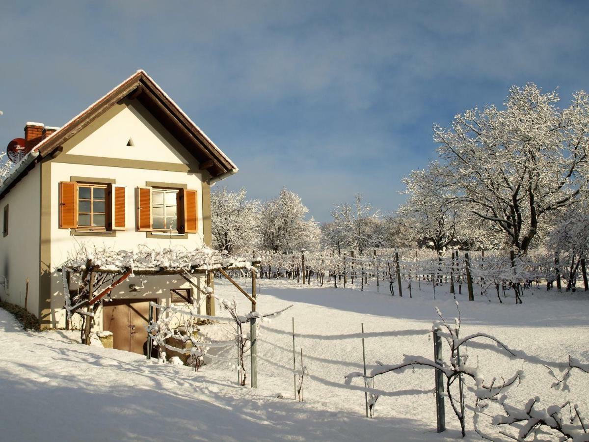 Weinlofts Weinloft I Villa Edlitz im Burgenland Dış mekan fotoğraf
